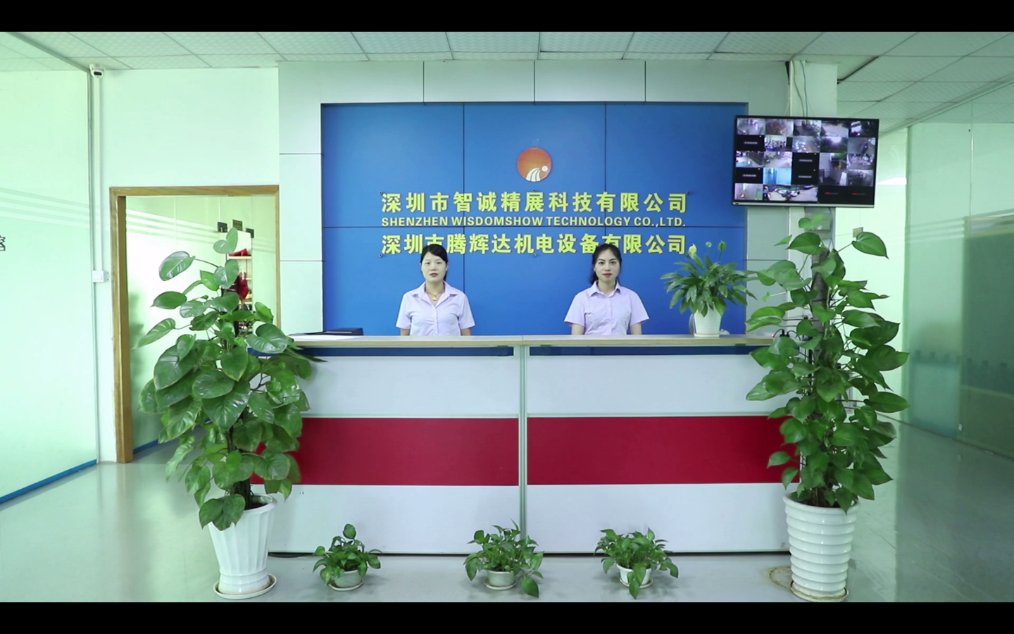 CPU GPU BGA Reballing Machine 110V-240V BGA Soldering Machine