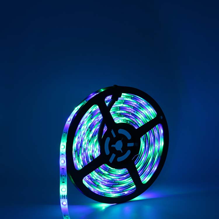 60leds/M Dynamic Programable Outdoor Led Strip Lights Rgb Waterproof