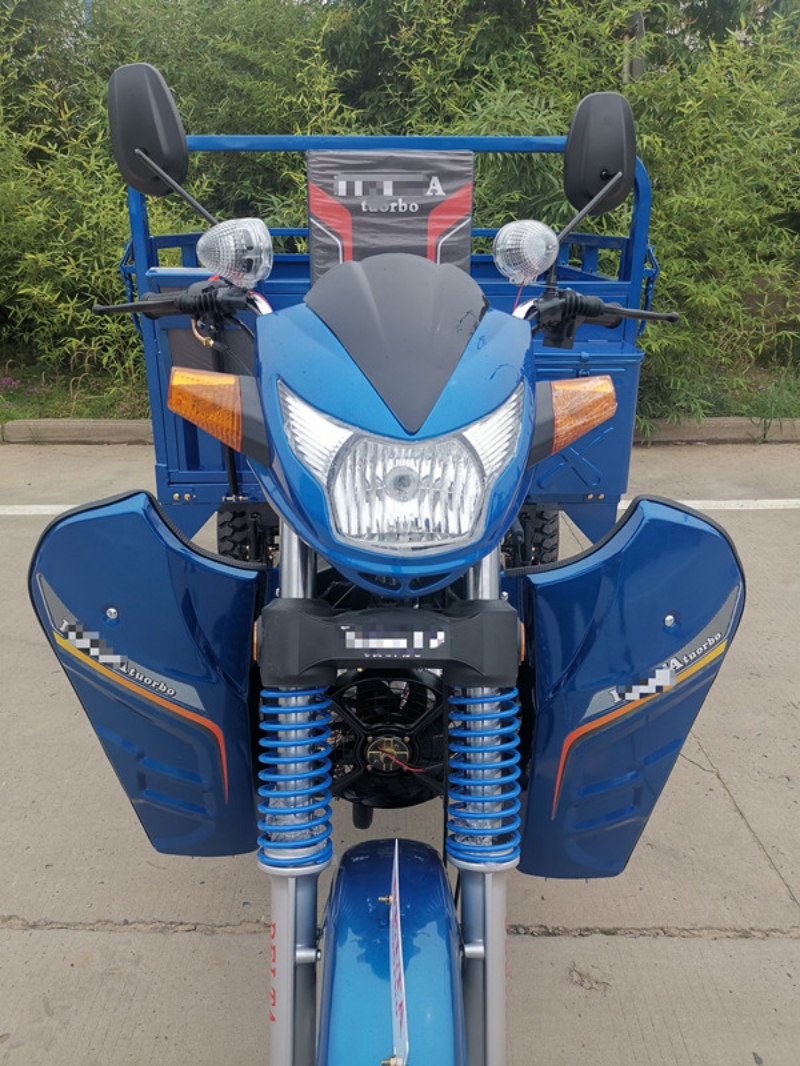 Egypr 3 Wheel Gasoline Motorcycle 200CC Cargo Tricycle