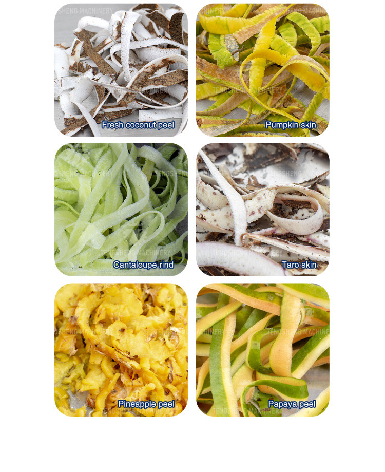1.0KW 120KG Peeler jackfruit papaya pumpkin wax gourd peeler all kinds of fruit peeling machine