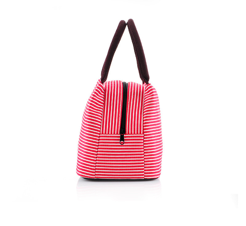 Reusable Aluminum Lining Insulated Cooler Bags