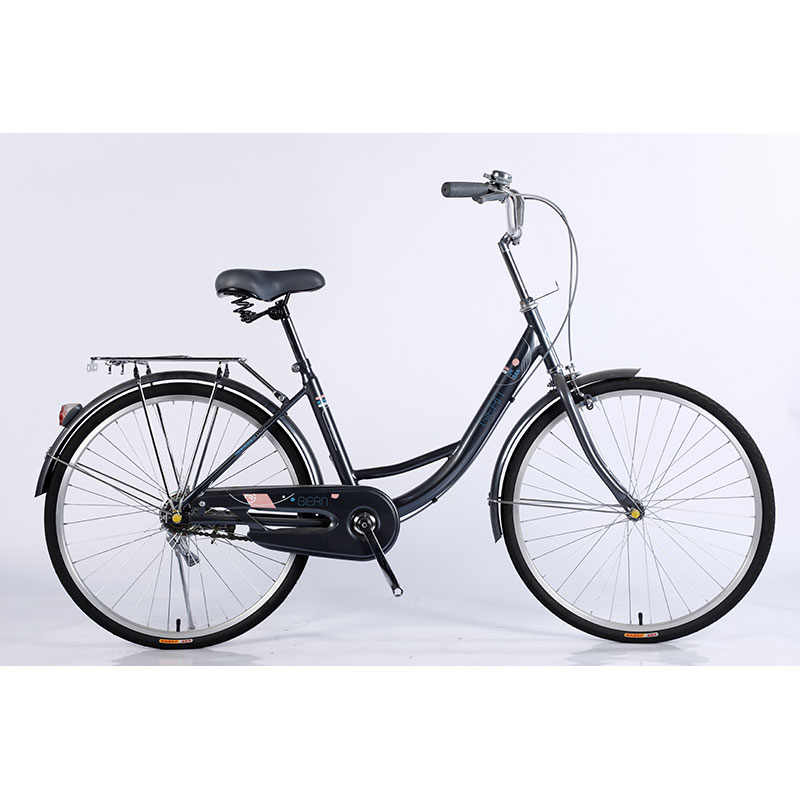 Custom Steel Frame Street Urban City Bike 26 For Women And Men In European Market