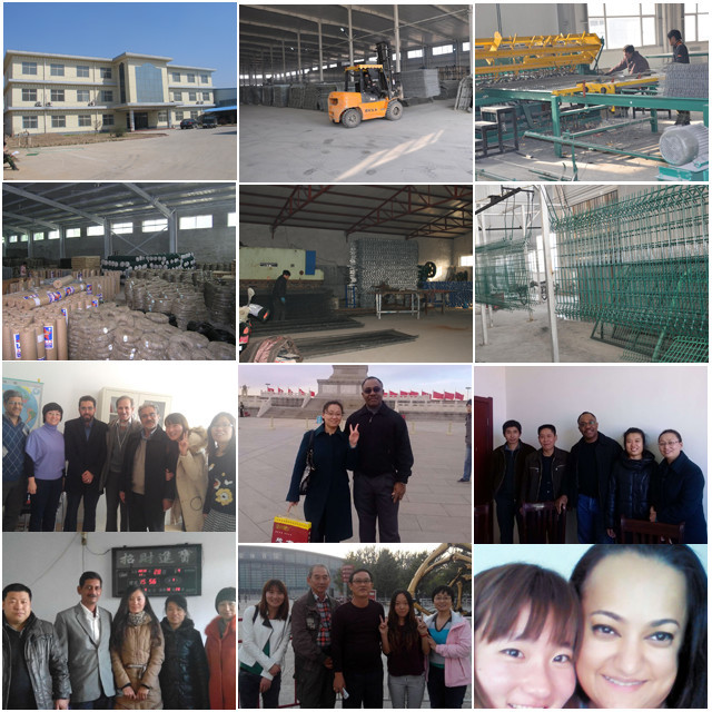 High Quality Galvaznied Reasonable Price PVC Coated Chain Link Wire Mesh Fence