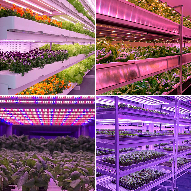18W T8 LED Grow Tube Light 2ft 4ft Red Blue Full Spectrum LED Plant Light For Greenhouse