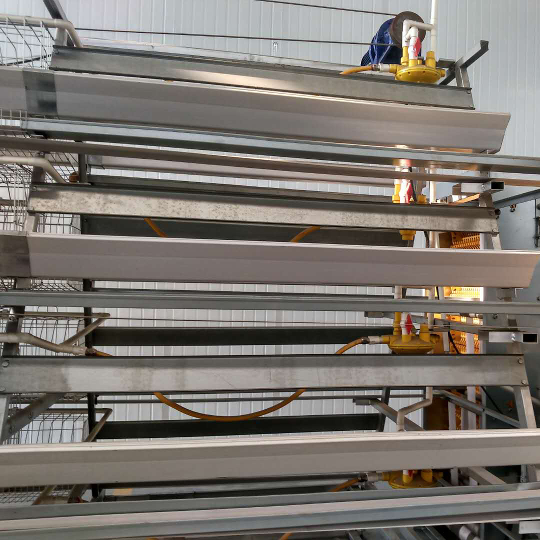 4 Tier 128 Birds/Set A Frame Layer Cages For Laying Eggs