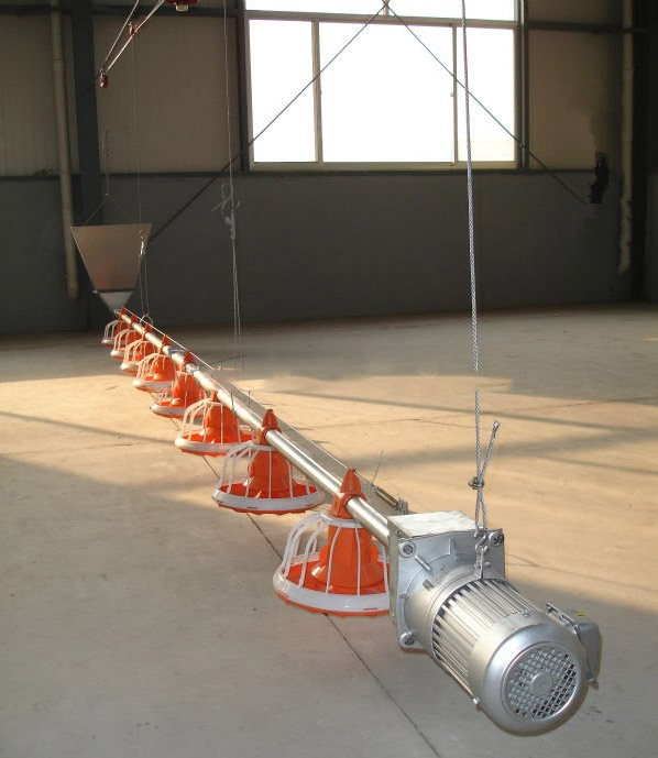 Automatic Chicken Drinking And Feeding  System For Chicken Poultry  Farming Equipment