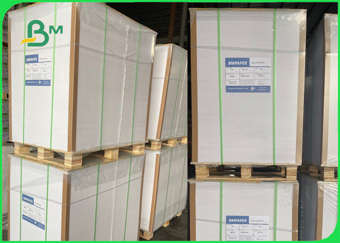 1S PE 240 gsm+20g Cup Stock Paper For Hot Drinks 747mm 886mm Recyclable