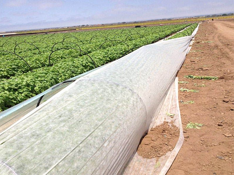 PP Non Woven Fabric 350g Agricultural Geotextile Cloth 10-320cm