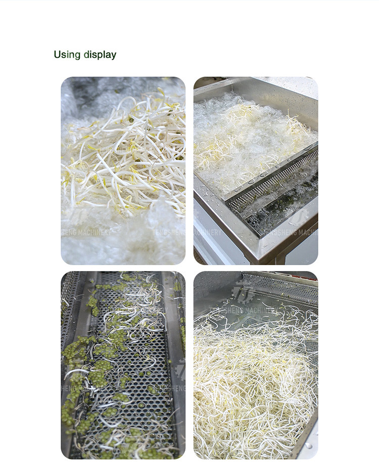 85KG Small commercial bubble cleaning machine single cylinder cleaning fruit and vegetable processing bubble washing