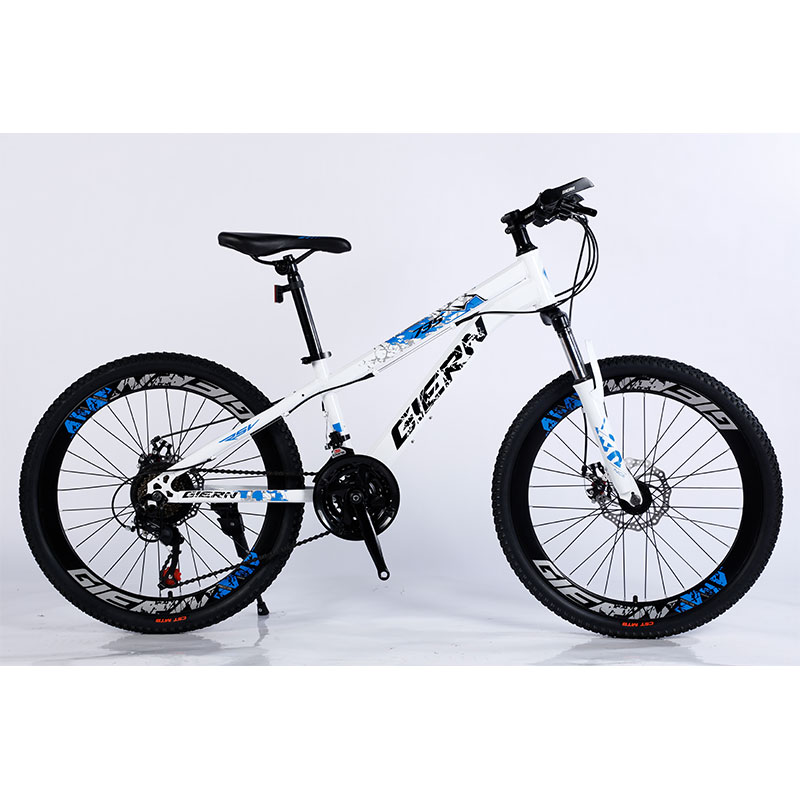Affordable Mountain Bicycle with Sus Fokr Cp Crown and Tongli Michanical Disc Brake