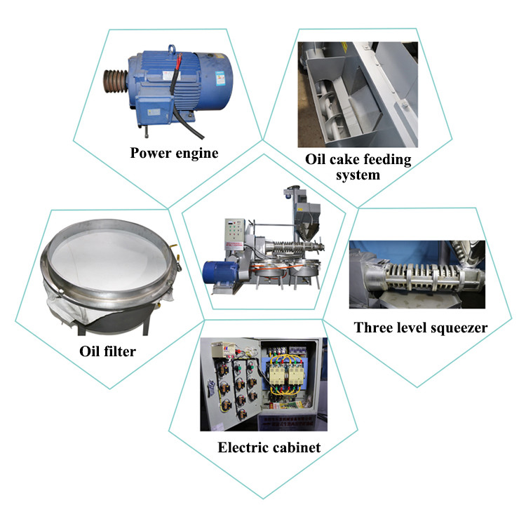 Cold Press Small Screw Oil Press Machine Sesame Seeds Oil Extraction Press Machine