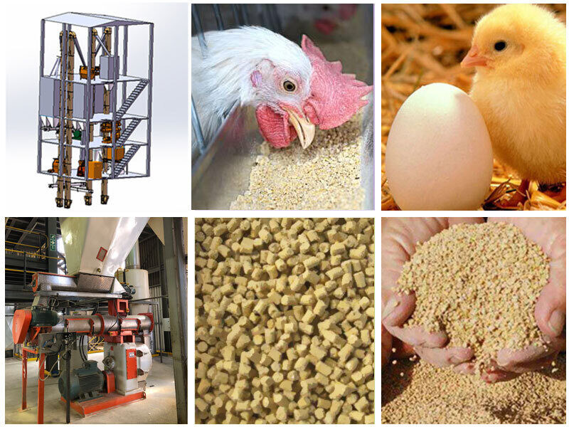 22KW Wheat Bran Automatic Cattle Feed Machine Stainless Steel Feed Pellet Line