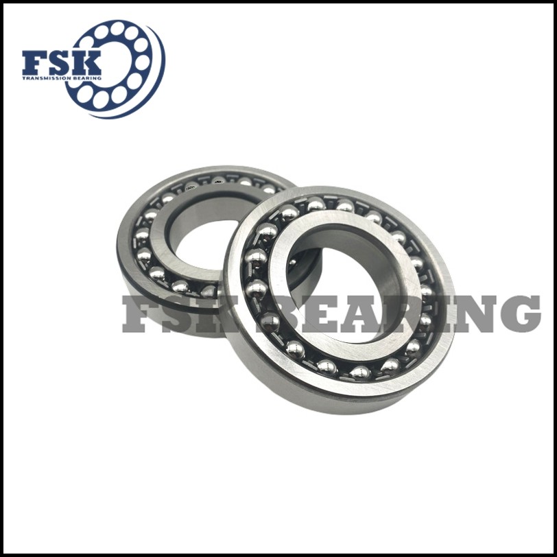 Miniature Size 129 TN9 1200 ETN9 2200 E 2RS1TN9 Self Aligning Ball Bearings Double Row