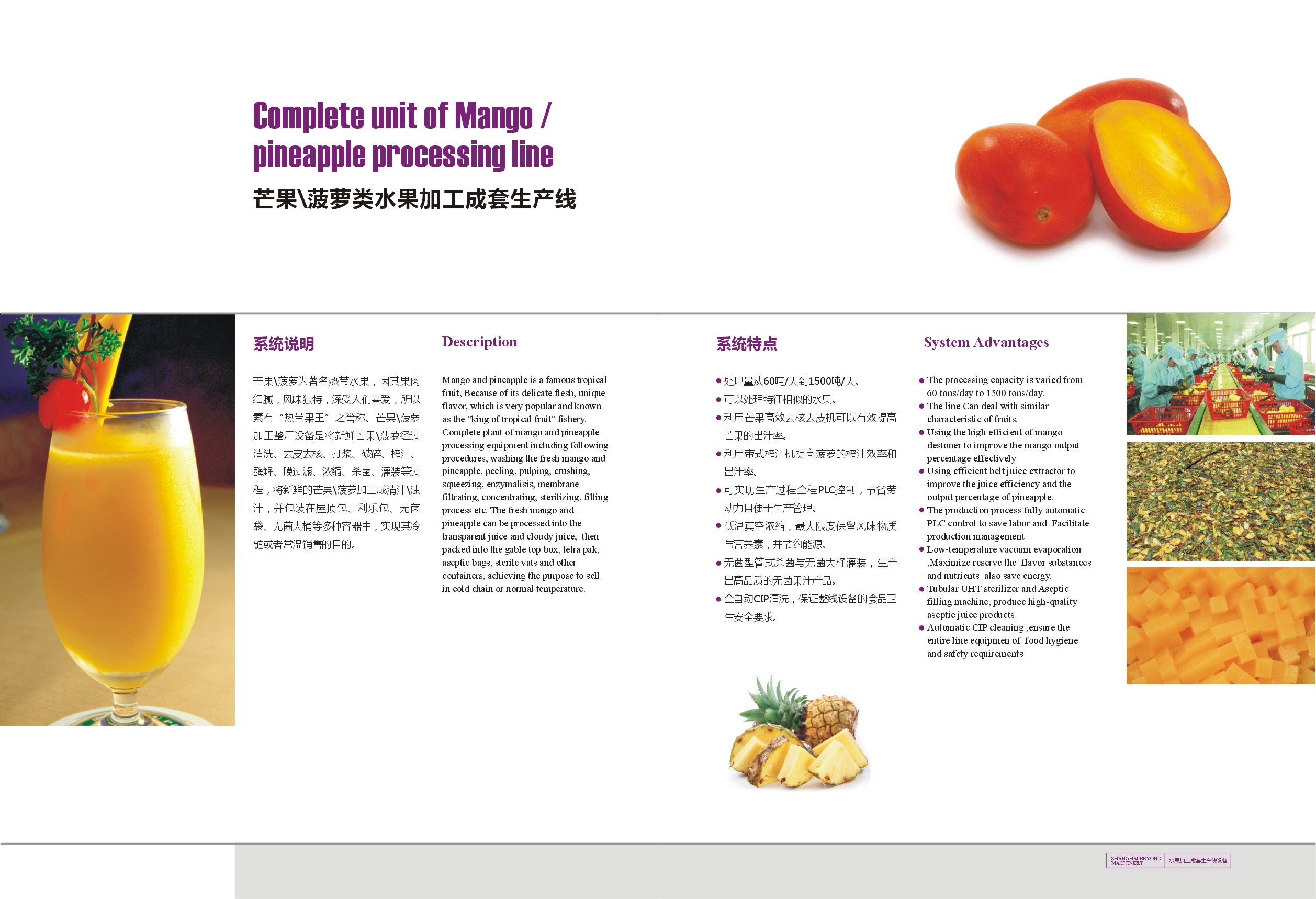 Mango Juice Making Machine Mango Processing Line Fully Automatic PLC Control