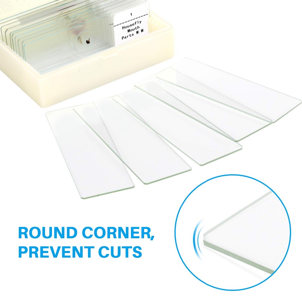 15 Pieces Mixed Botany Microscope Prepared Slides Set For Biology Education