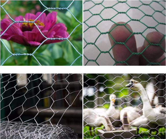 BWG 23 Q195 Galvanized Chicken Mesh Fence 3/8'' Poultry Hex Netting