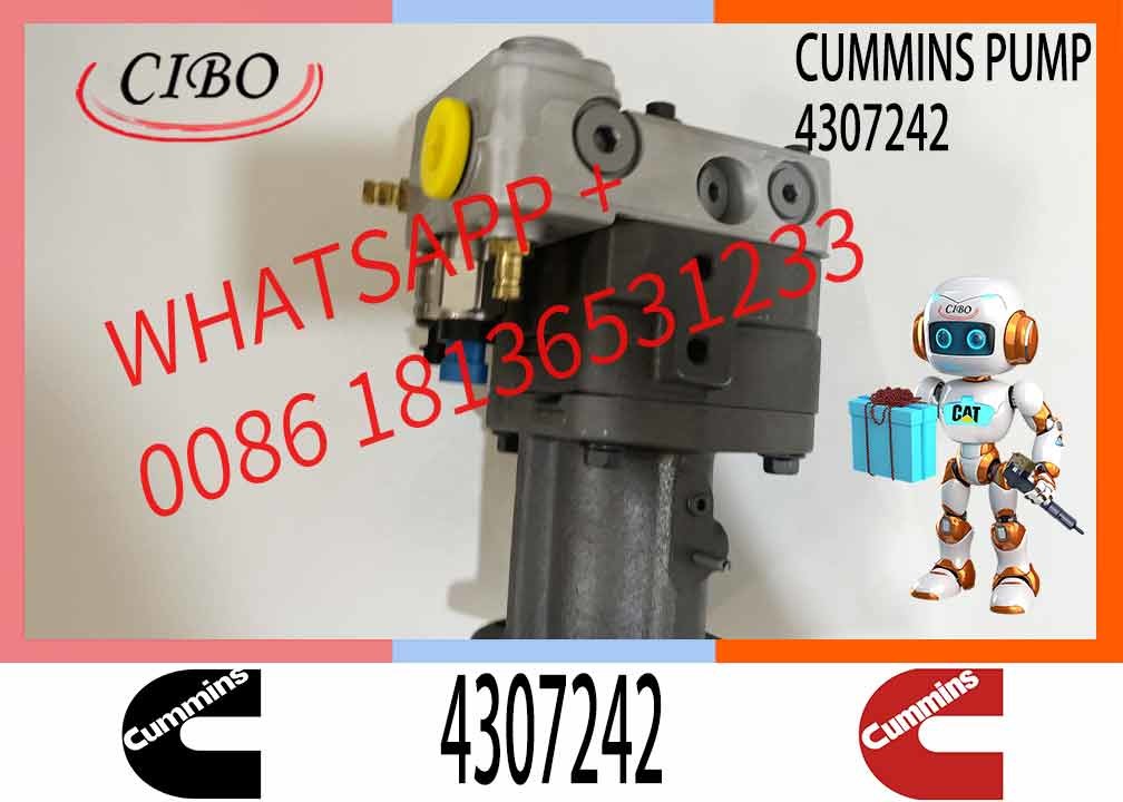 cummins qsk60 engine parts Fuel Pump 4307242 for cummins crane engine marine engine