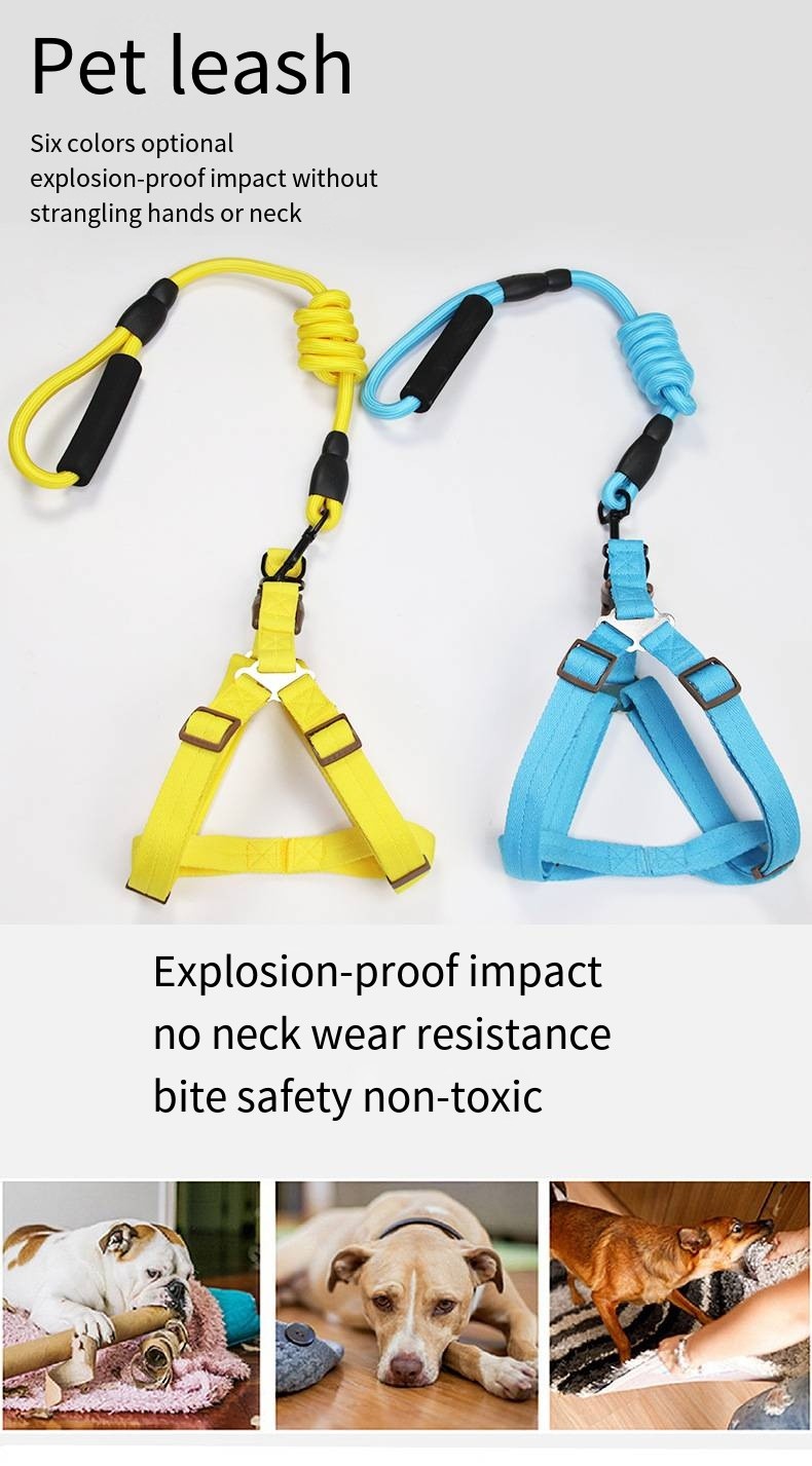 Pet Explosion Proof Leash Reflective Dog Nylon Leash Medium And Large Dogs