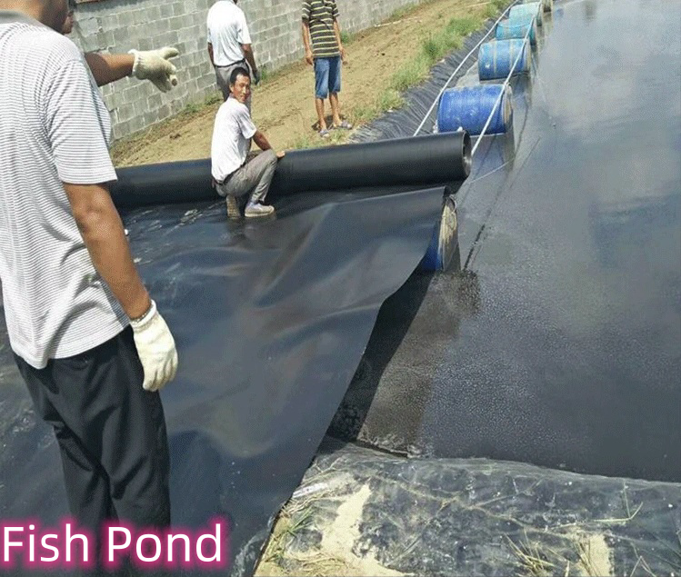 1mm 2mm Geomembrane for Fish Ponds and Landfill Sites Length 50-200m Modern Design
