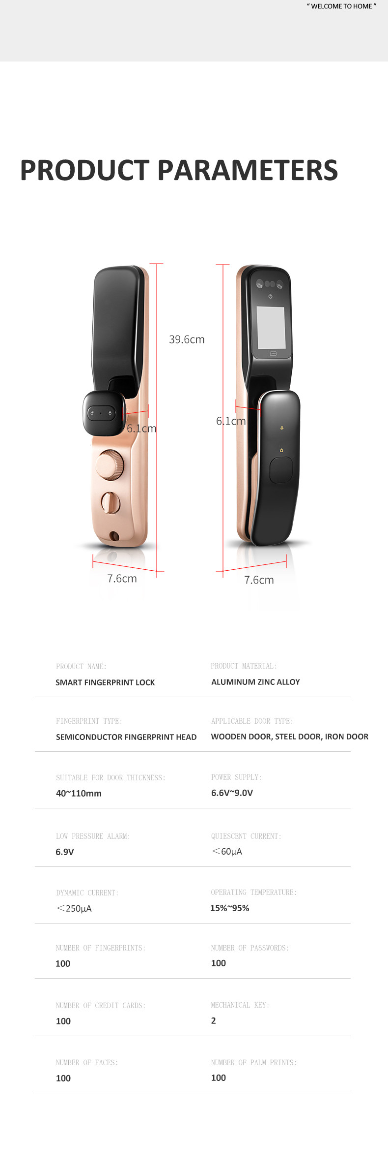 Tuya App Wifi Face Recognition Smart Fingerprint Automatic Front Door Locks