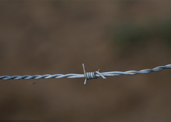 Garden Anti-Theft Single Strand Hot Dipped Galvanized Steel Barbed Wire