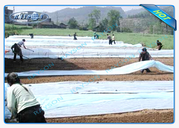Anti - UV PP Non Woven Fabric For Agriculture / Non Woven Landscape Fabric