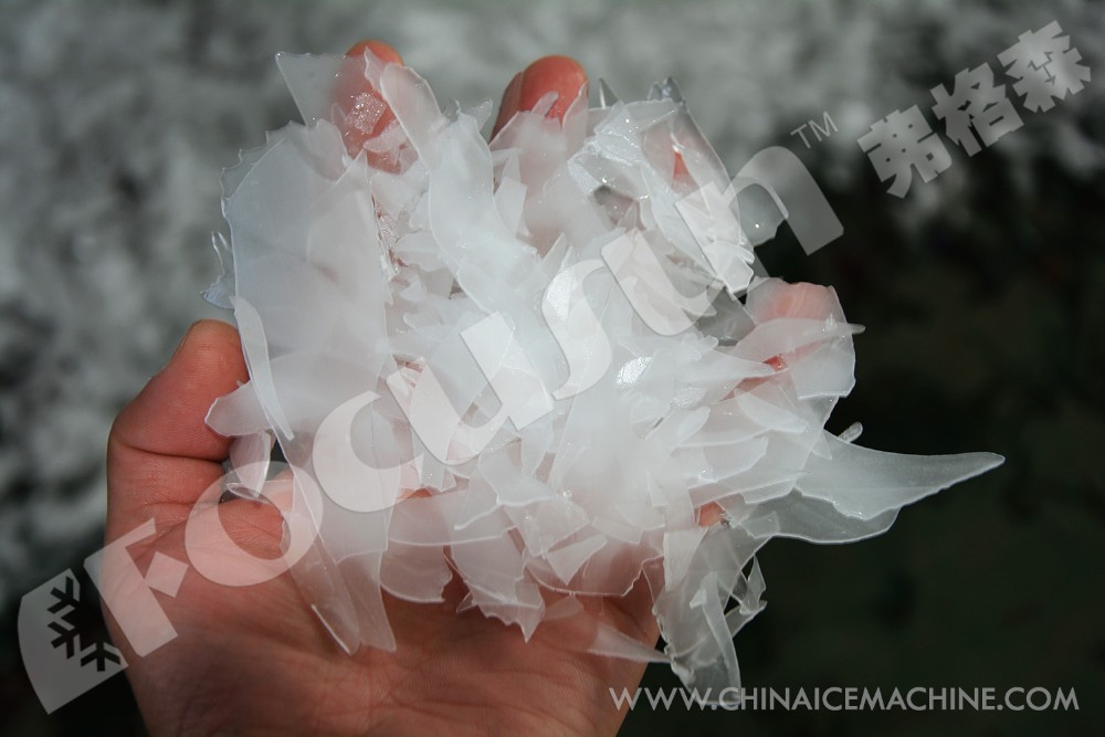 3 Ton Flake Ice Machine for Seawater 1.5mm-2.5mm Ice Size 16KW Voltage Small Capacity
