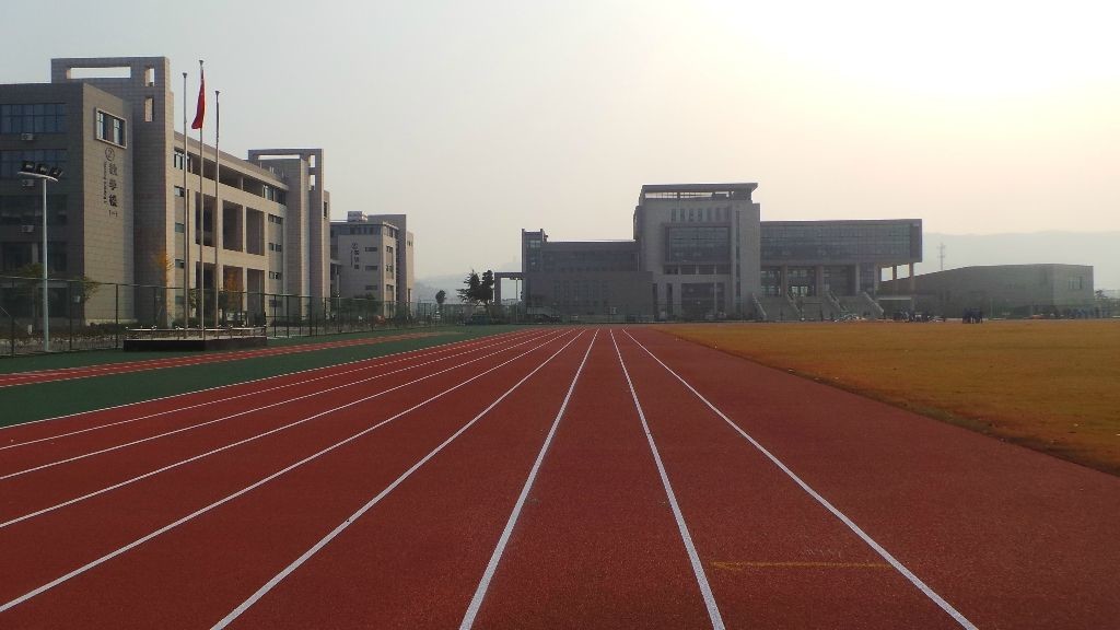 Waterproof Artificial Synthetic Rubber Running Track EPDM Rubber Granules