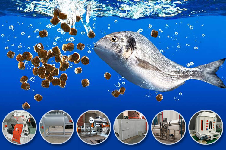 fish feed making plant
