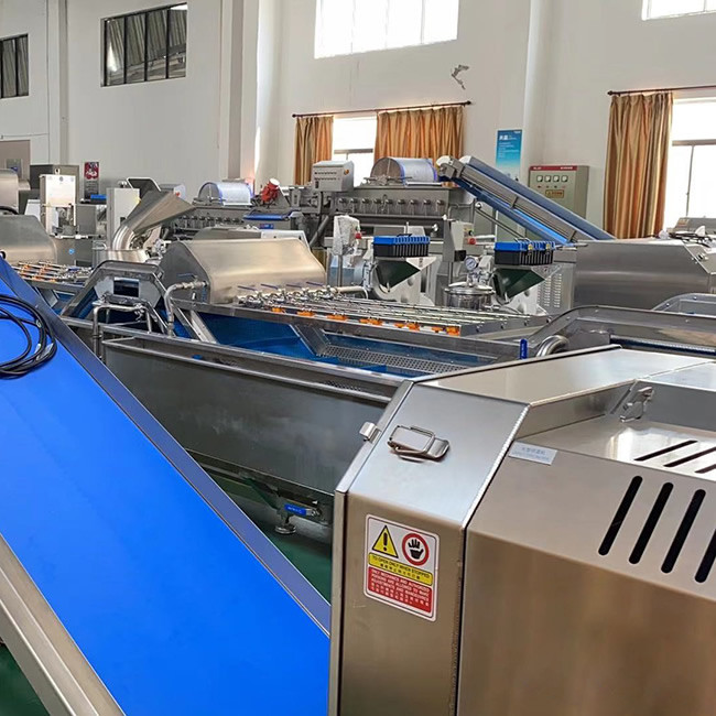 Fruit And Vegetable Dicing Cleaning Machine, Scallion Cleaning And Drying