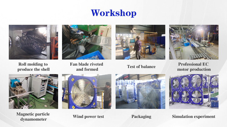 520V Industrial Livestock Farm Exhaust Fans Fiberglass With Cone