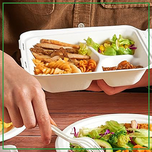 Disposable Food Grade