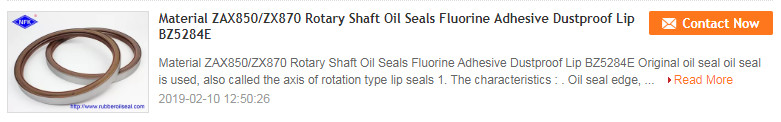 Palantine Ntr Nbr Cfw Skeleton Oil Seal High Pressure Resistance