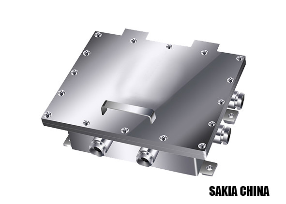 IP65 Stainless Steel Explosion Proof Network Video Server Junction Box