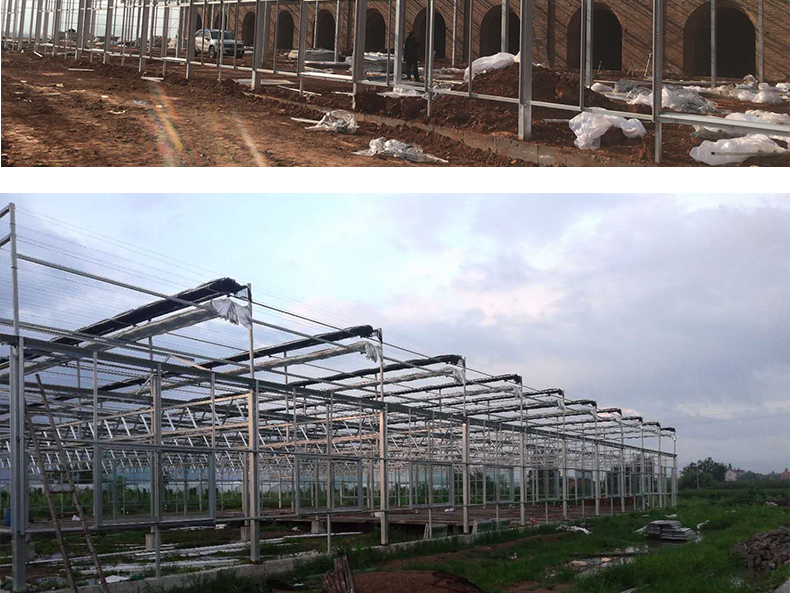 Large Glass Covered Garden Greenhouses for Versatile Planting Options