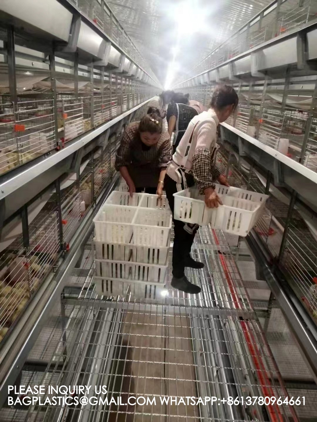 Chicken Cage Turnover Box With Partition Board Chicken Transportation Cage Egg Cage