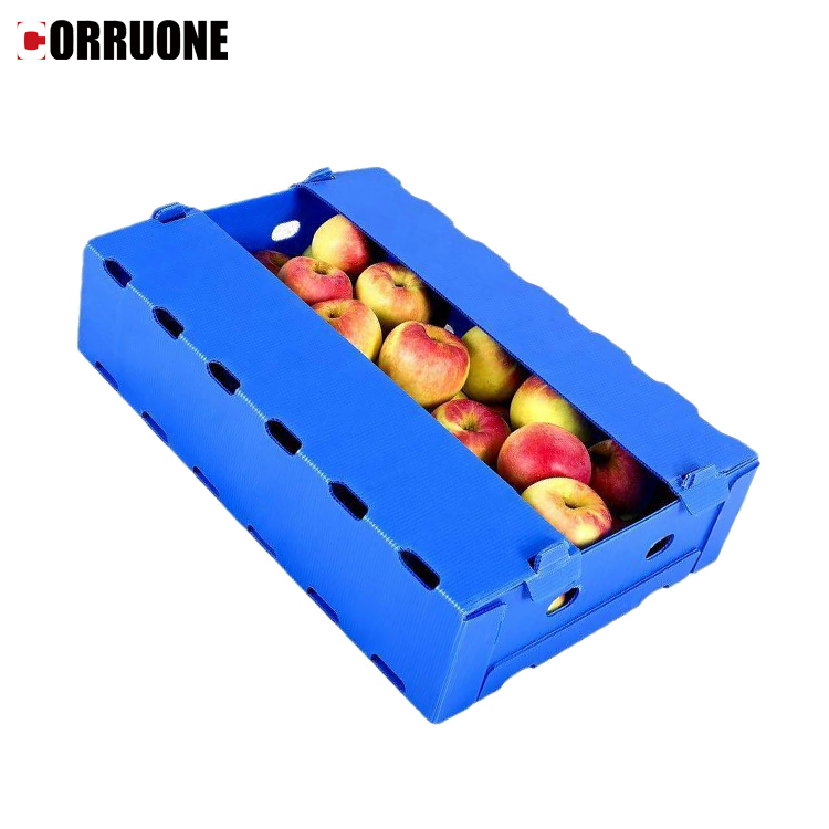 Bio PP Corrugated Sheet Recyclable Polypropylene Hollow Board
