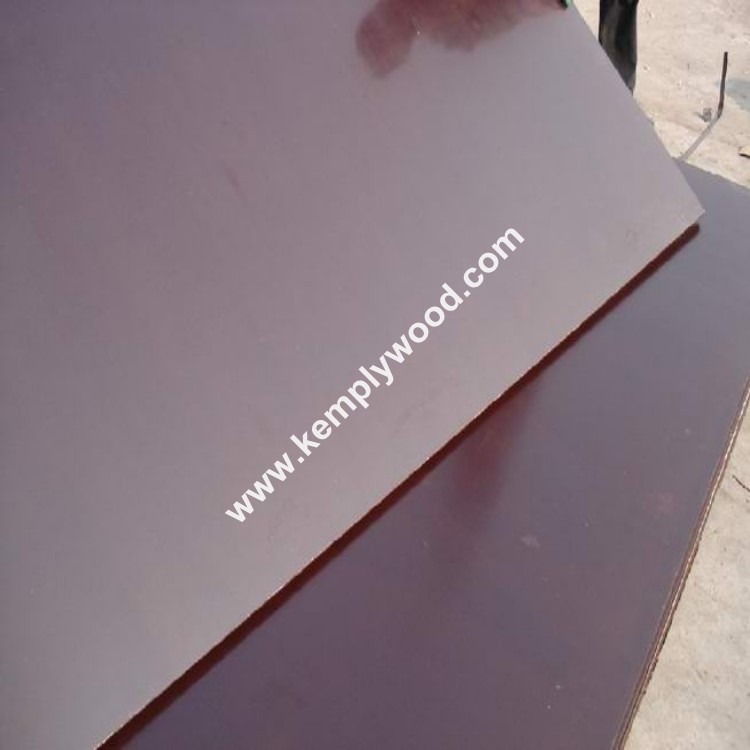 WBP Melamine Eucalyptus Construction Timber Film Faced Plywood