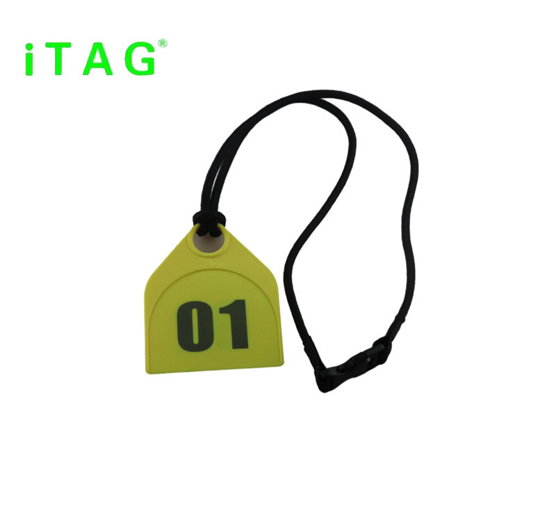 cattle/sheep/camel/ostrich/donkey/horse neck tag,animal neck tag,super large neck tag