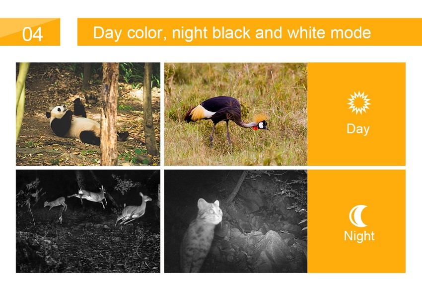 Ip65 Hunting Game Camera 0.4s Trigger Night Vision Low Glow Trail Motion Activated Waterproof