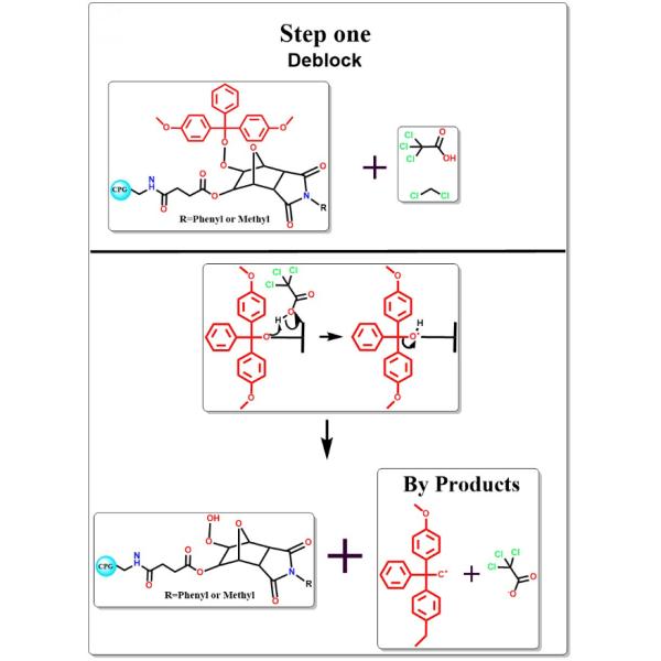 IVD Company's Nucleic Acid Oligonucleotide Synthesis Equipment for Optimal Efficiency