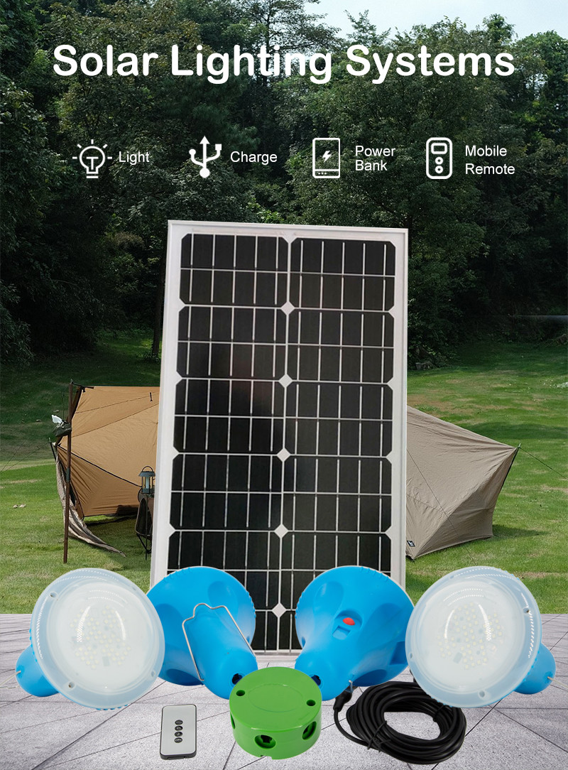 Portable Solar Home Lighting System 25W Battery 6V MultiFunction Power Station