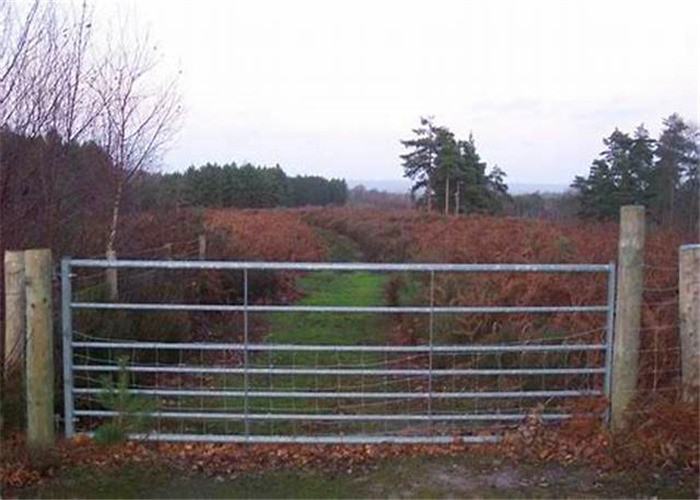 Fully Welding 16 Foot Livestock Metal Gate With Lock 42Inch 70.5inch Height