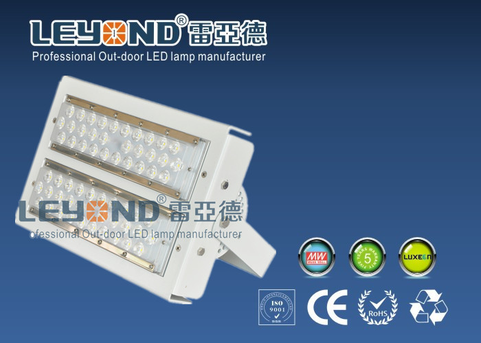 IP66 Cool White Waterproof LED Flood Lights