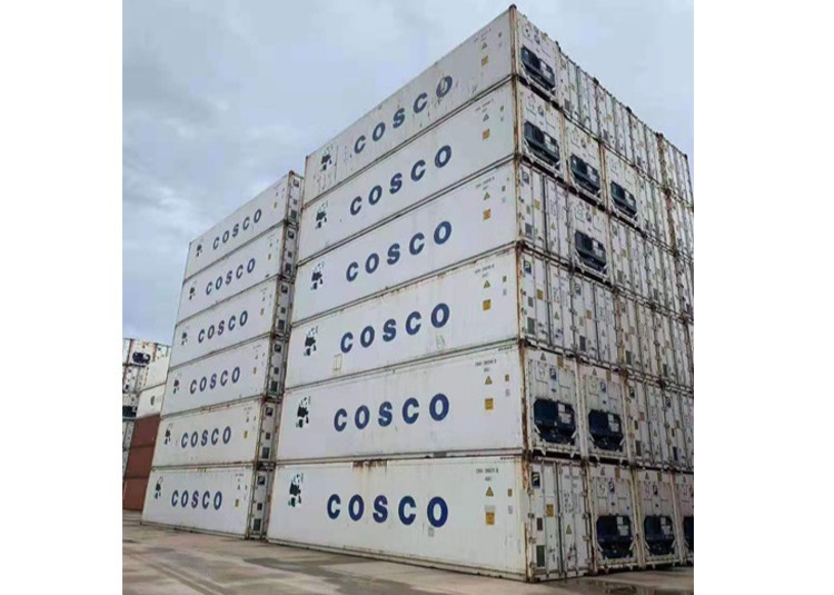 20RH Steel Special Containers Reefer Container House