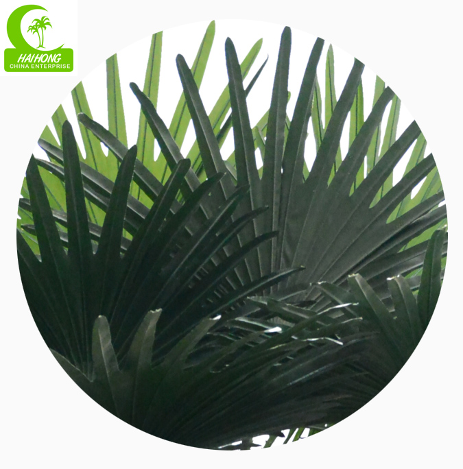 fake fan palm