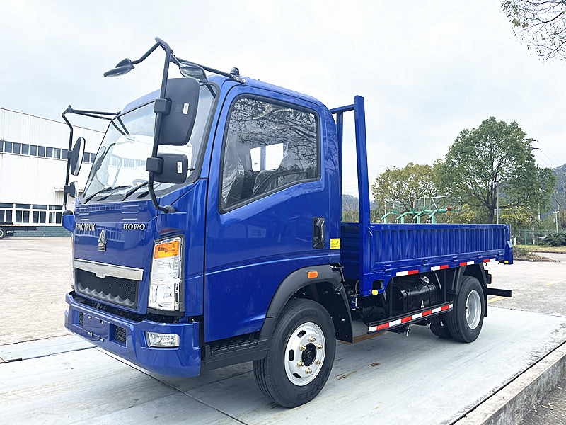 Small Sinotruk Howo Dump Truck 3-4tons Lorry Cargo Truck Euro 3 Single Seat Rows