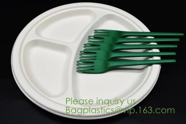 Biodegradable, Sugar Cane, Sugarcane Bamboo Pulp, Bento Box, Bagasse Food