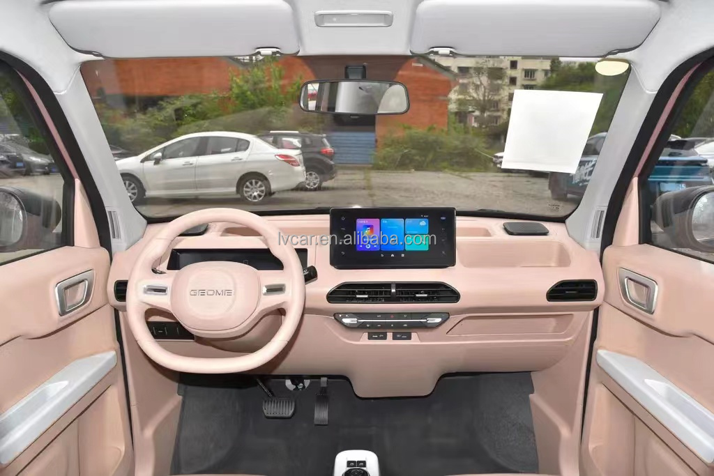 Small Electric Car Geely Panda Geome Mini EV 2024 Energy Vehicle with 120km Range