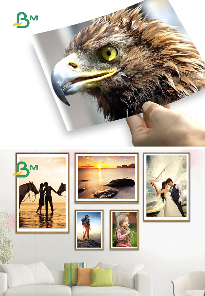 200gsm 250gsm Plotter Photo Printing Paper Good Smoothness One Side High Glossy